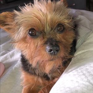 Meet your Posher, Olivia